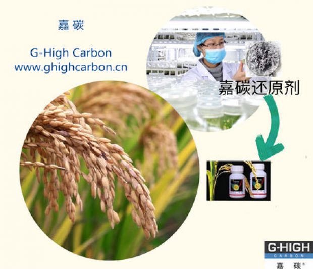 嘉碳還原劑，助力農(nóng)產(chǎn)品增產(chǎn)增收
